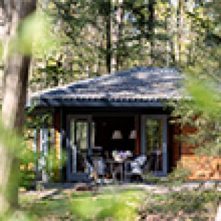 Afbeelding voor Bospark Eendracht - In het bos bij Voorthuizen