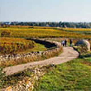 Afbeelding voor Better Places - Wandelvakantie Bourgogne