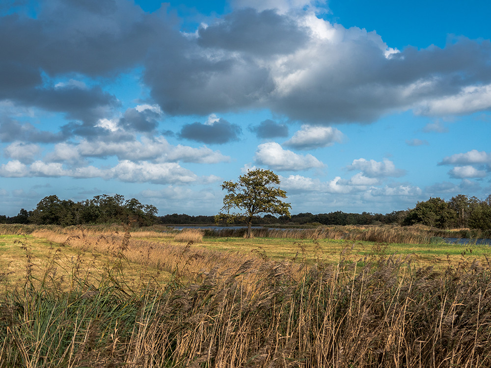 Botshol natuurgebied bij Vinkeveen