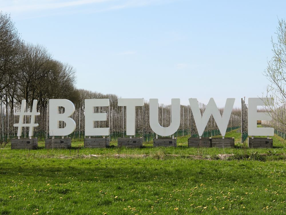 De Betuwe