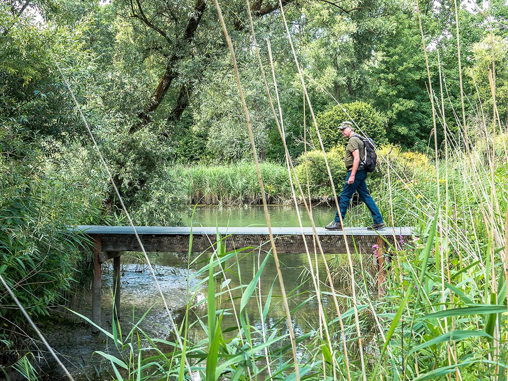 Wandelen Biesbosch