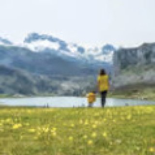 Afbeelding voor Get Your Guide - Tours in Asturië