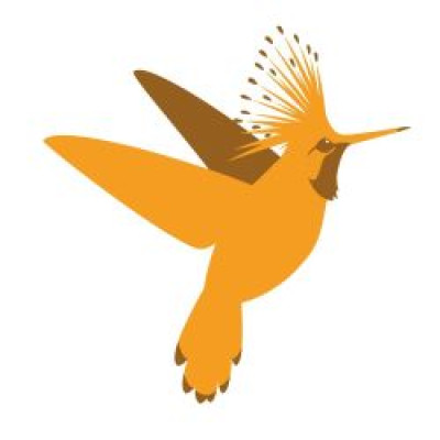 Logo van BirdingBreaks