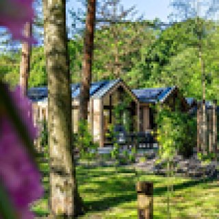 Afbeelding voor Résidence Lage Vuursche