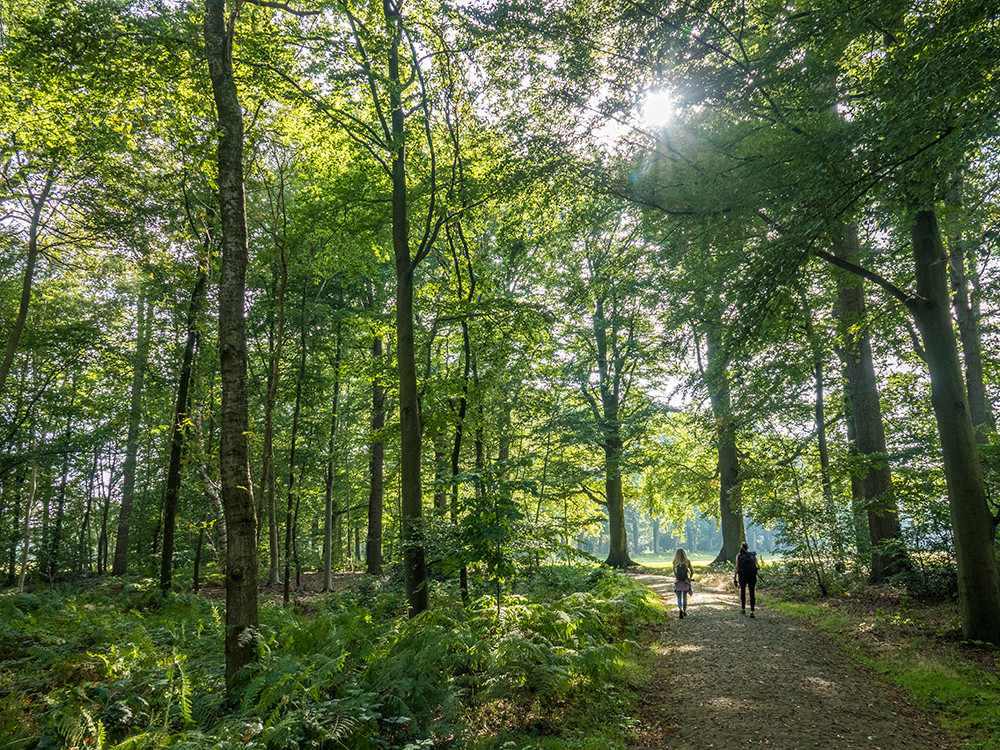 Natuur bij Putten