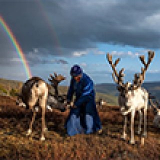 Afbeelding voor Intrepid - Reis met rendierherders