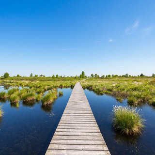 Afbeelding voor Hoge Venen