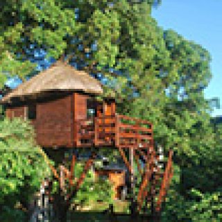 Afbeelding voor Booking.com - Boomhut Mauritius