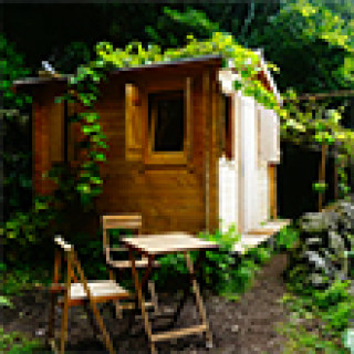 Afbeelding voor Natuurhuisje - Tiny House