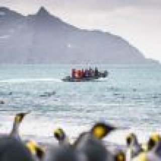 Afbeelding voor Oceanwide-Expeditions - Zuid-Georgië