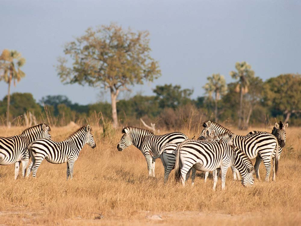 Ecotoerisme in Zimbabwe