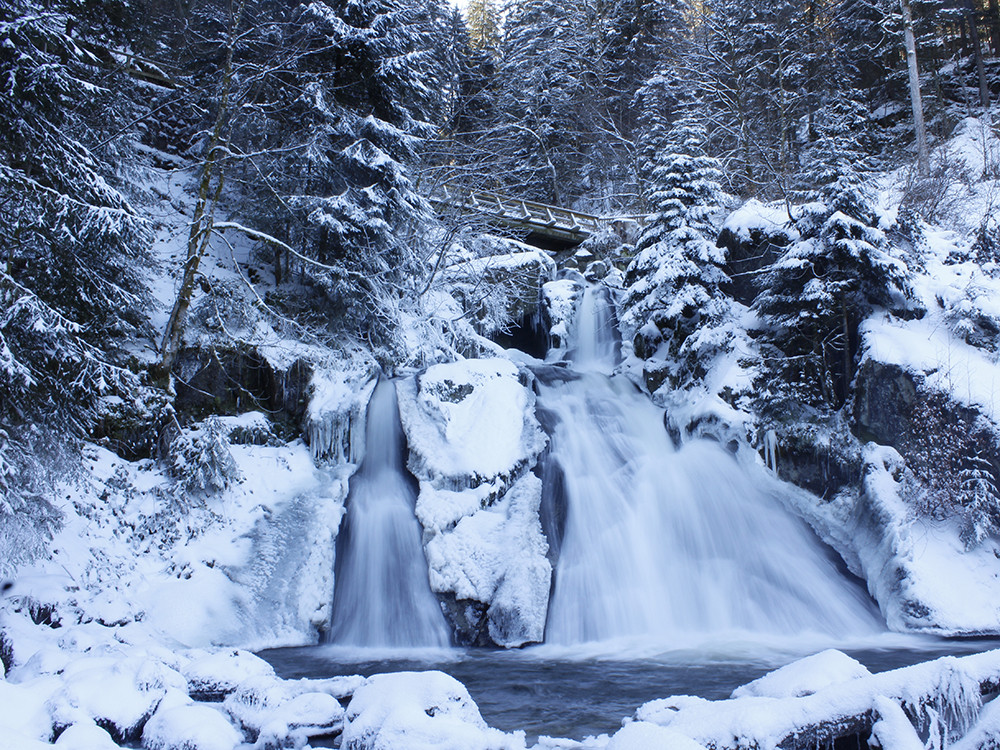 Winter waterval Zwarte Woud