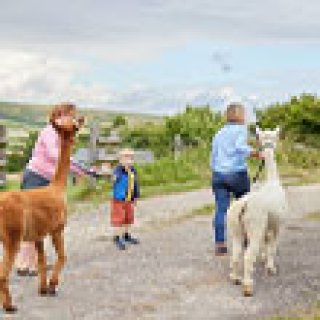 Afbeelding voor BoerenBed - Vakantieboerderij Weymouth