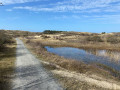 Kustpad door Zuid-Holland