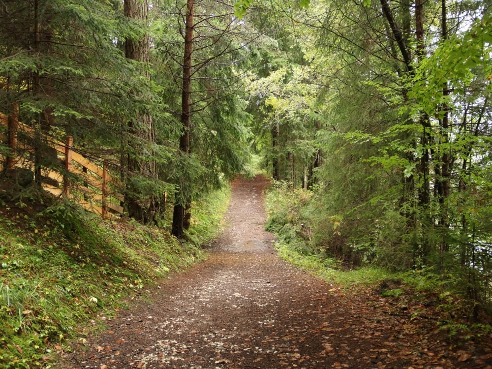 Wandelen in de natuur
