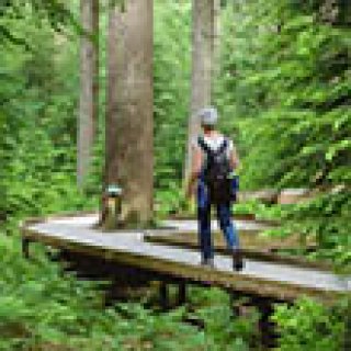 Afbeelding voor ANWB - Wandelarrangement Ardennen