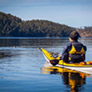 Afbeelding voor Get Your Guide - Peddelen tussen de zeehonden