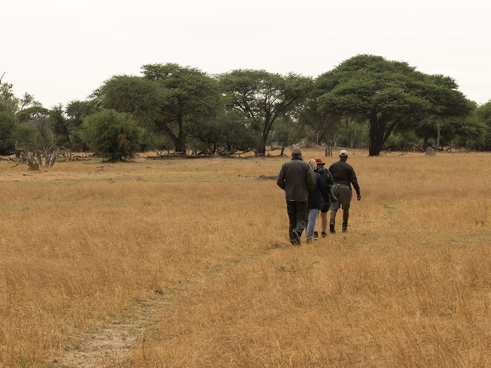 Wandelsafari in Hwange, Zimbabwe