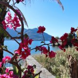 Afbeelding voor Ticino