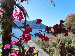 Afbeelding voor Ticino