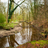 Afbeelding voor Natuur bij Winterswijk