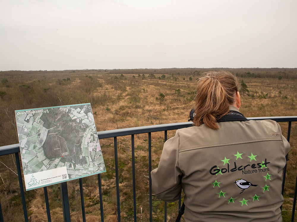 Vogels spotten in Winterswijk