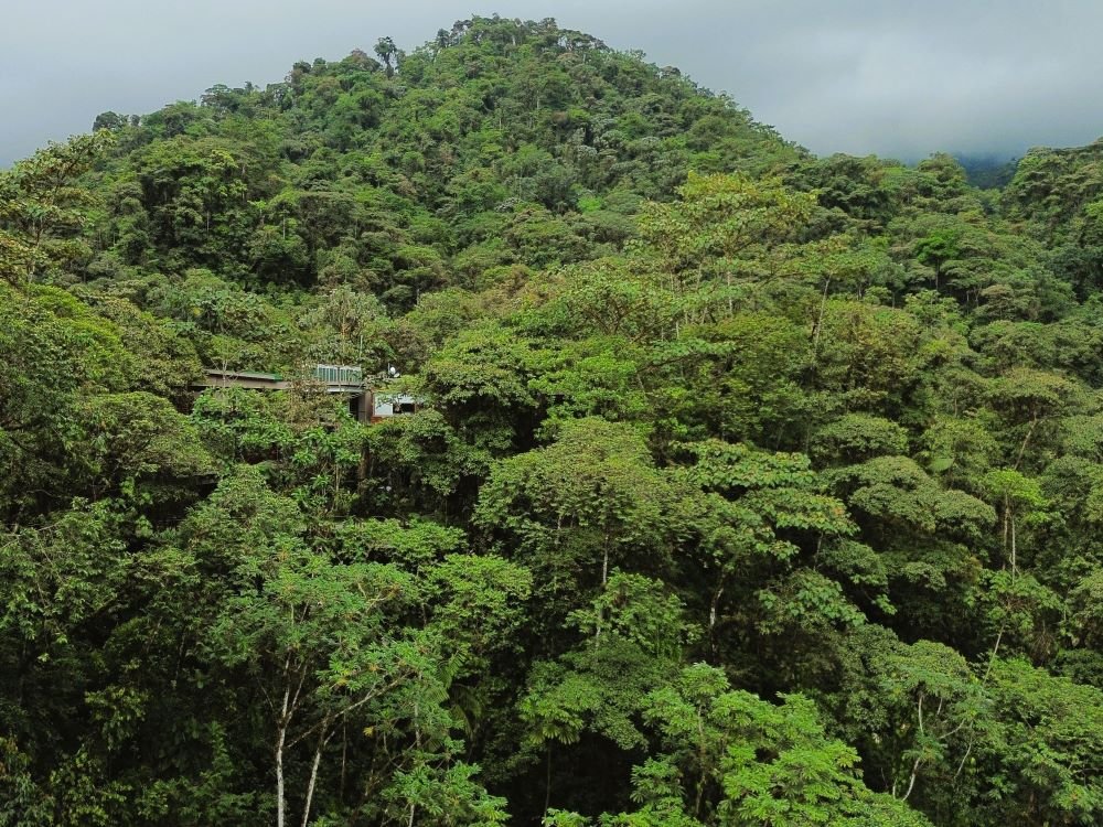 Mashpi Lodge Ecuador