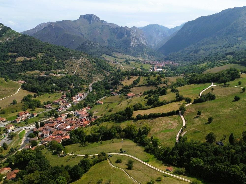 Cabrales
