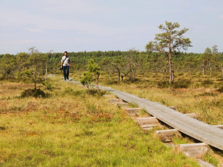 Afbeelding voor Actieve vakantie in Estland