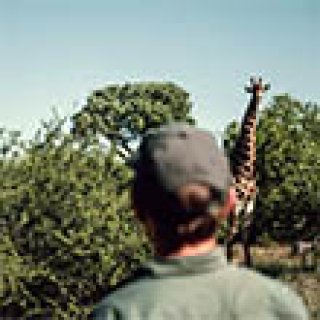 Afbeelding voor Wild Wanderer Safaris - Wandelsafari