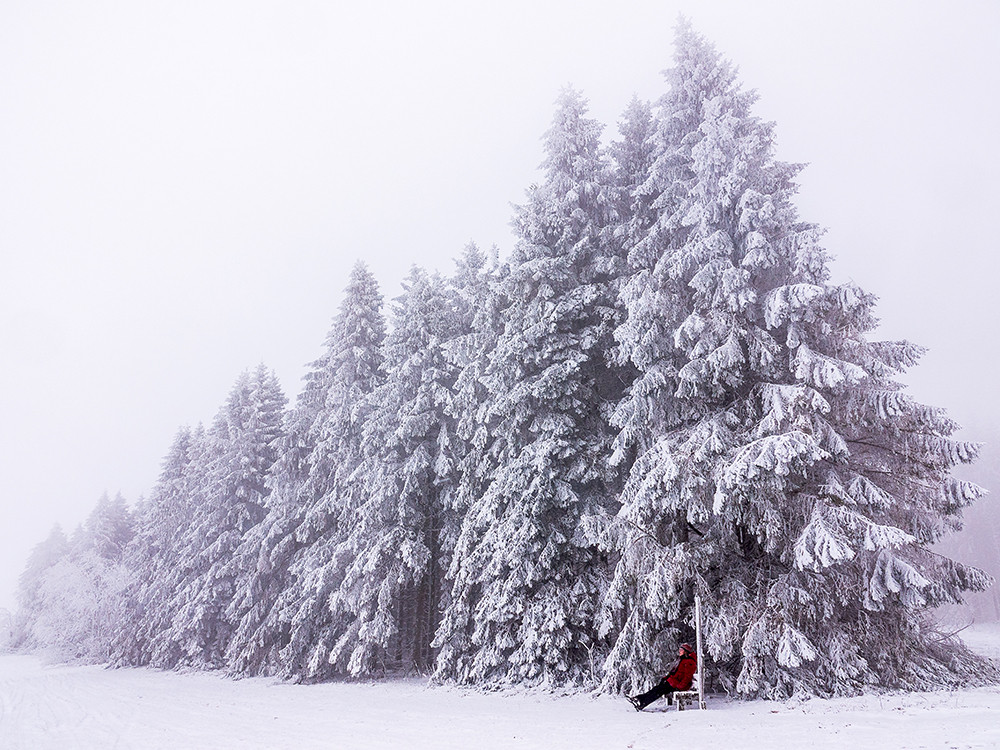 Natuur bij Winterberg