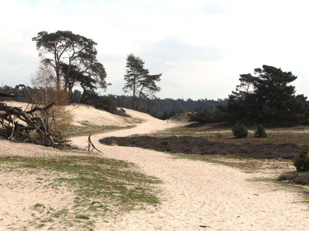 Natuur in Beerze