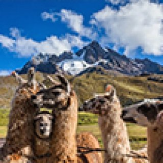 Afbeelding voor Travel Happiness Company - Reis op maat
