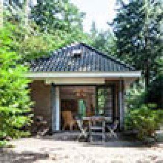 Afbeelding voor Boshuisje Veluwe