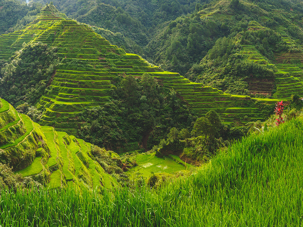 Banaue