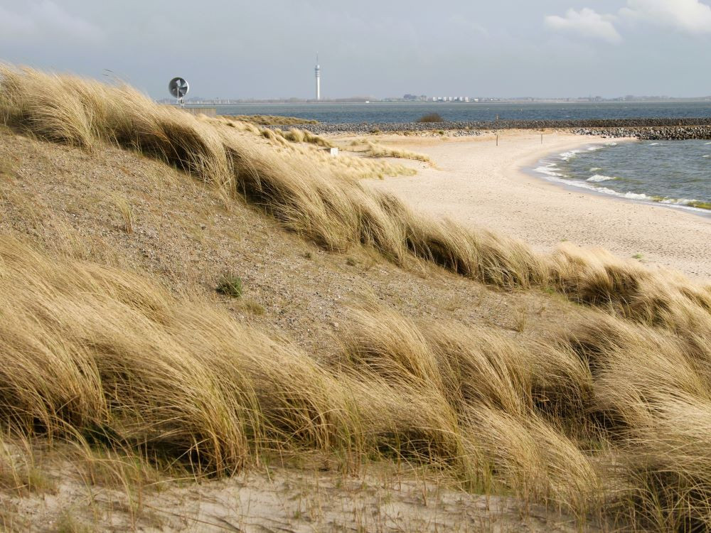 Duinen