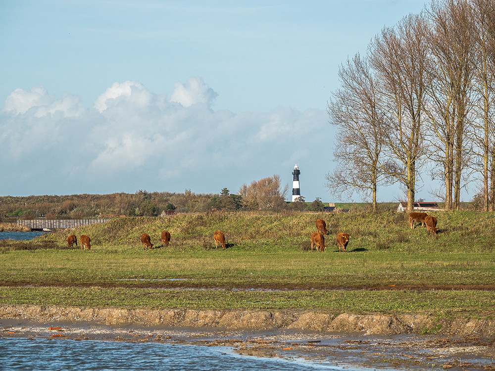 Vuurtoren van Breskens