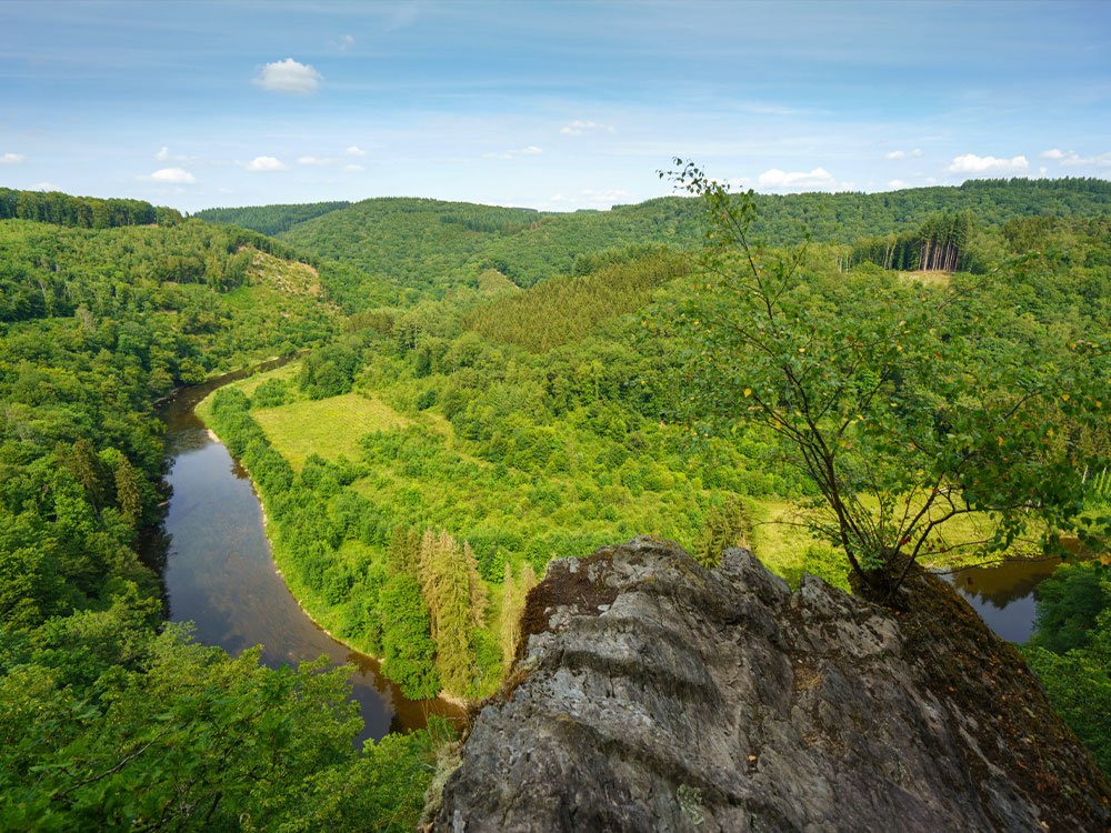 Natuur rond de Semois