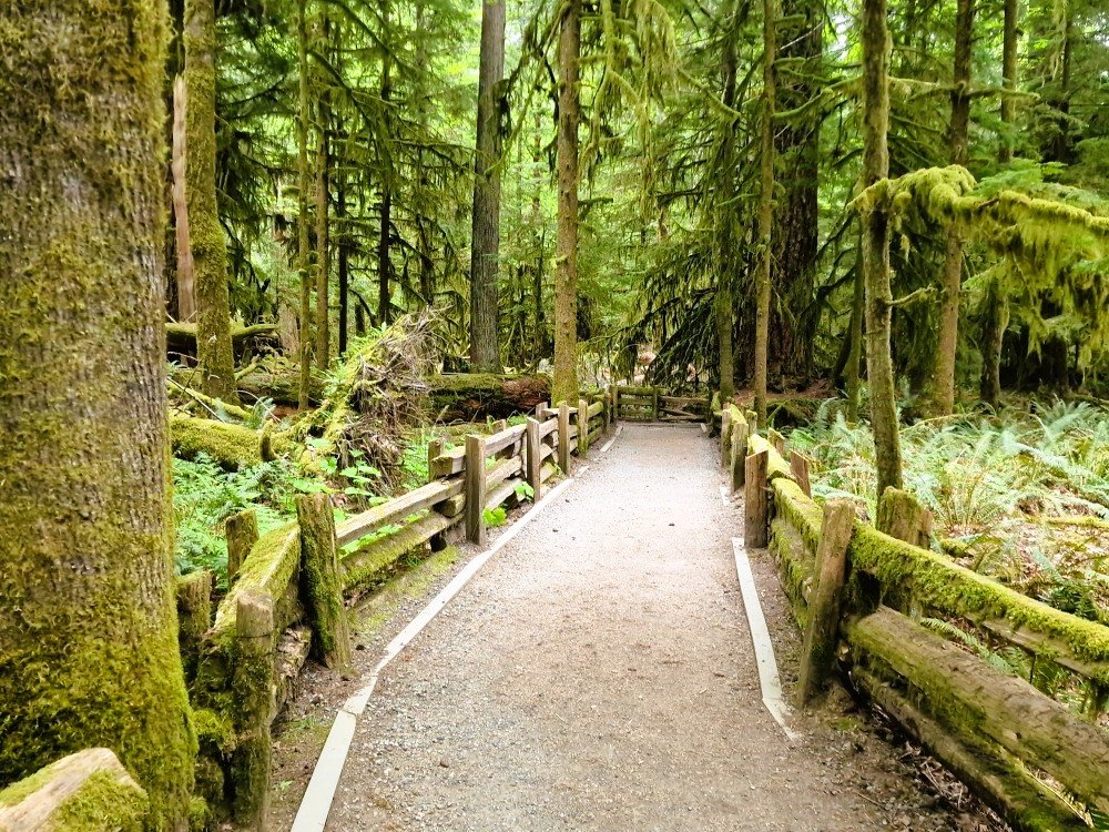 Wandelpad Vancouver Island