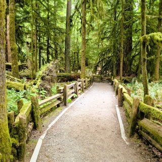 Afbeelding voor Wandelen in Canada