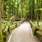 Afbeelding voor Wandelen in Canada