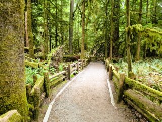 Afbeelding voor Wandelen in Canada