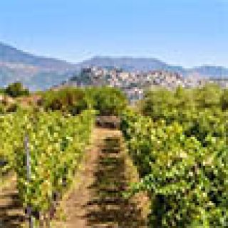 Afbeelding voor Better Places - Rondreis Sicilië