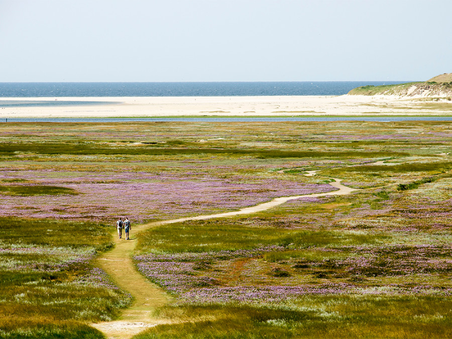 Natuurgebieden op Texel