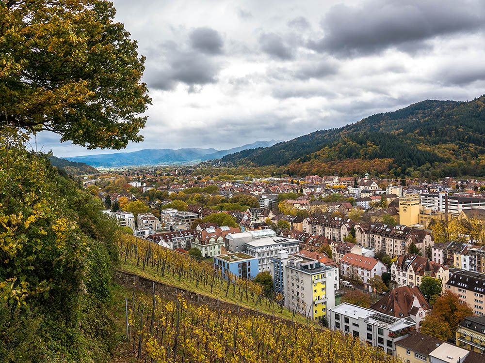 Historische wijngaarden