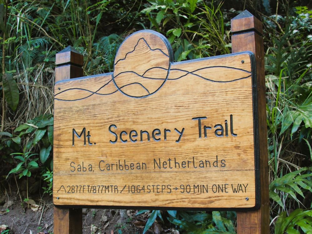 Mt. Scenery Trail