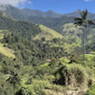 Afbeelding voor Travel Happiness Company - Natuurreis Colombia