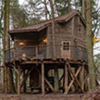 Afbeelding voor Boomhut Drouwenerzand