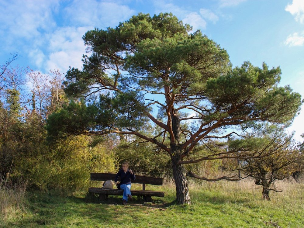 Pauzeplek op de Panoramaroute Perl