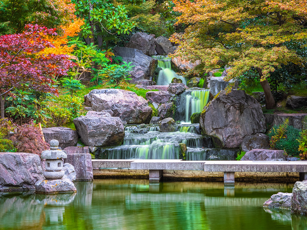 Kyoto Garden